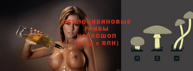 Альфа ПВП Алзамай