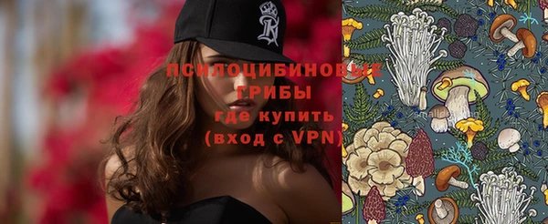 Альфа ПВП Алзамай