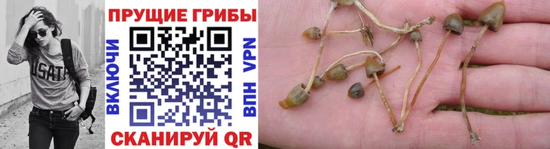 как найти закладки  hydra сайт  Галлюциногенные грибы GOLDEN TEACHER  Юрьев-Польский 